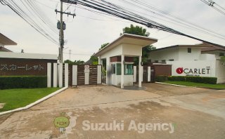 Scarlet Full Service Villa