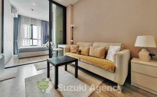 KnightsBridge Prime Onnut