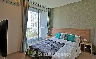 Rhythm Sukhumvit 50：1 BED ROOM Interior Photos No.71