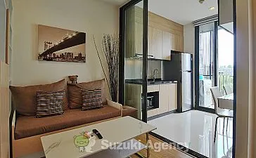Hasu Haus