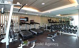 Adelphi Forty-Nine：Facility Photos No.10
