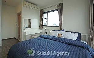 WYNE Sukhumvit：1 BED ROOM Interior Photos No.72