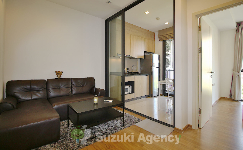 Hasu Haus
