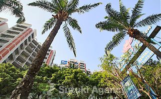 Bangkok Garden Apartment